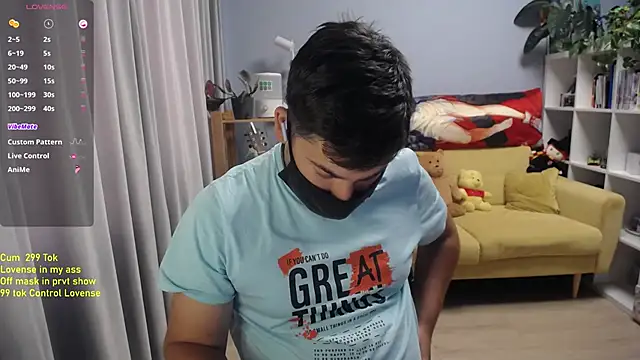 Show webcam de Tomguys