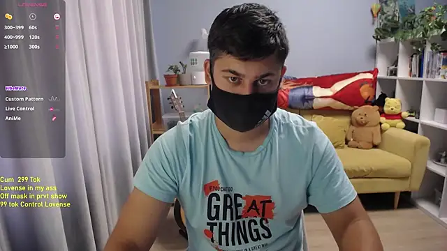 Show webcam de Tomguys