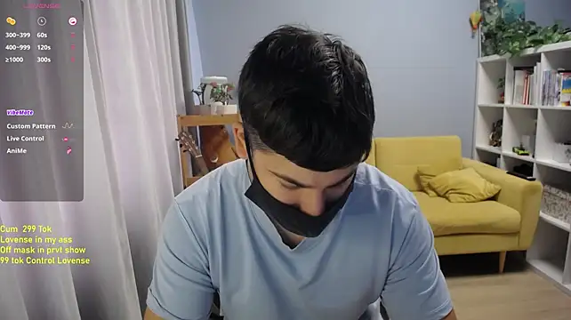 Show webcam de Tomguys
