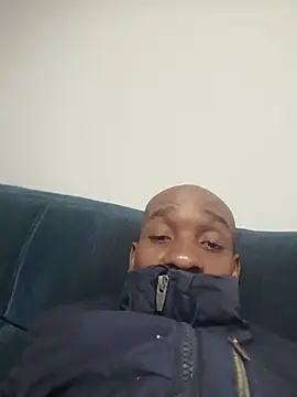 Dibobo4 – webcam-show