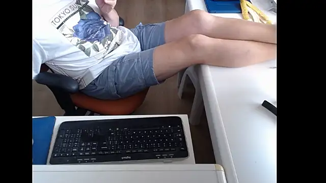 dutchpornking: διαδικτυακό σόου στην κάμερα