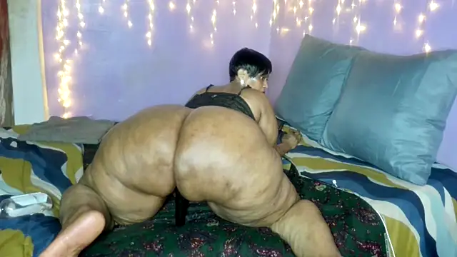 wilmaassylumのウェブカメラショー