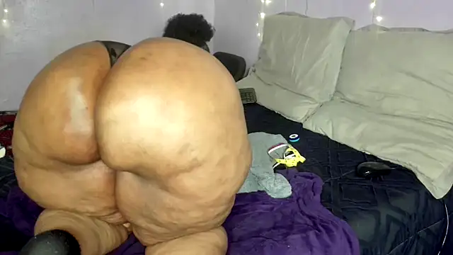 wilmaassylum's Webcam Show