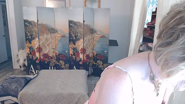 SindeeDix Webcam Show