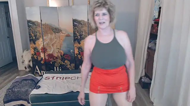 Show Webcam de SindeeDix