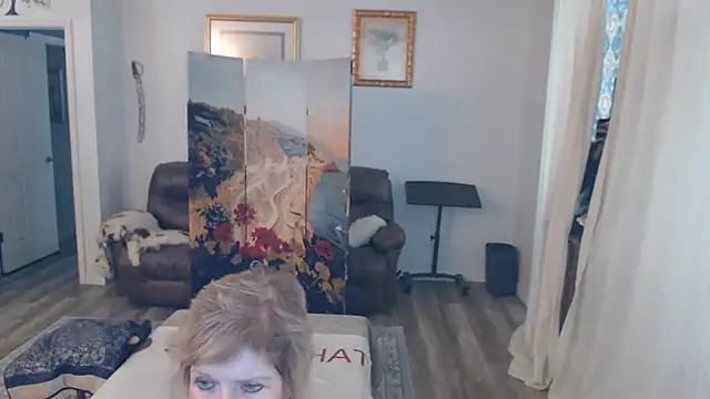 Show de SindeeDix na webcam