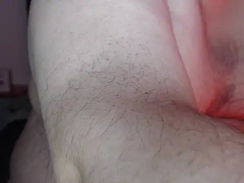 Show Webcam de danypalmer