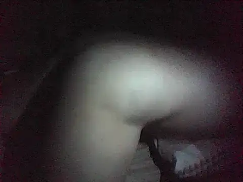 Show webcam de masan03
