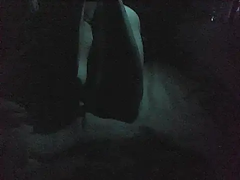 masan03 Webcam show