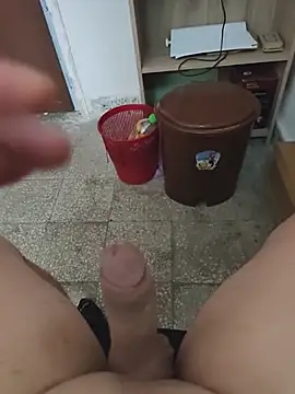 Show Webcam de yurasec