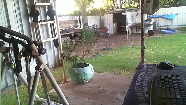 عرض كام herbie010666