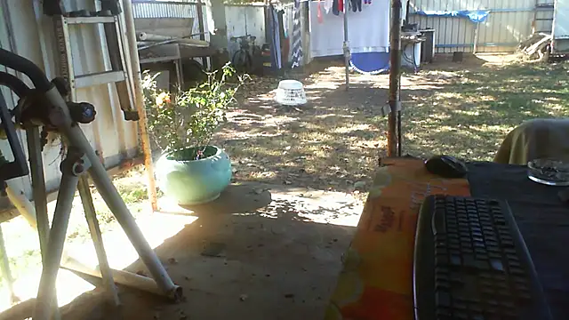 herbie010666 Pertunjukan Webcam