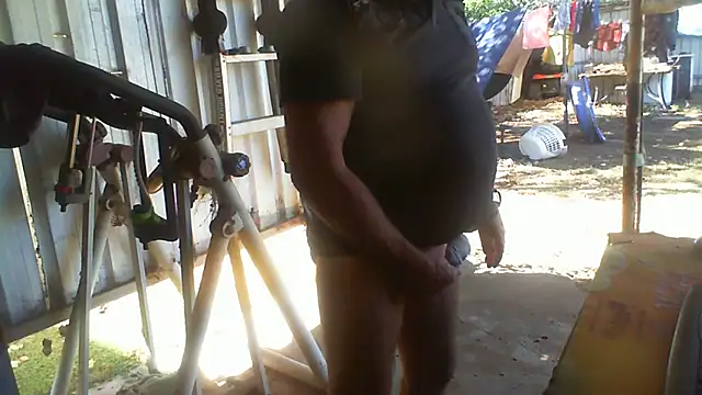 Show webcam de herbie010666