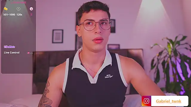 I_Gabrieln Webbikameraesitys