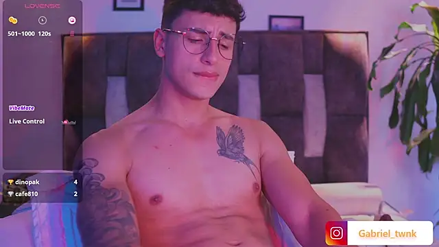 I_Gabrieln Webbikameraesitys