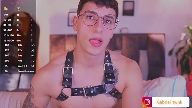I_Gabriel Шоу с уебкамера