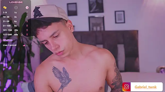 I_Gabrieln Webbikameraesitys