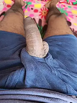 LookingForFemalePartner Webcam show