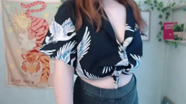 Show webcam de VeryVeryVeryShy_
