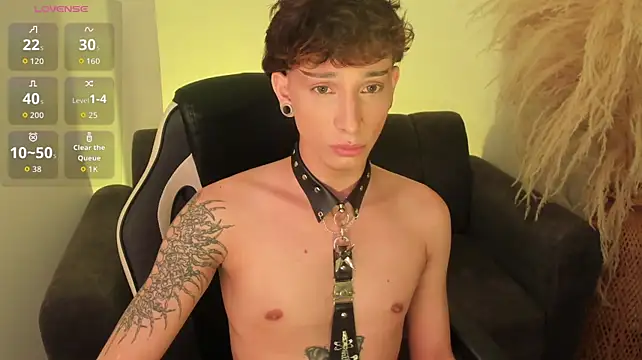 Show webcam de AndyWiilliams