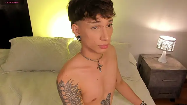 Show de webcam de AndyWiilliams