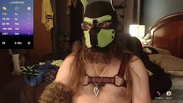 kinkywolf429: вебкам-шоу