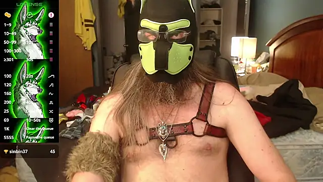 kinkywolf429 Webcam show