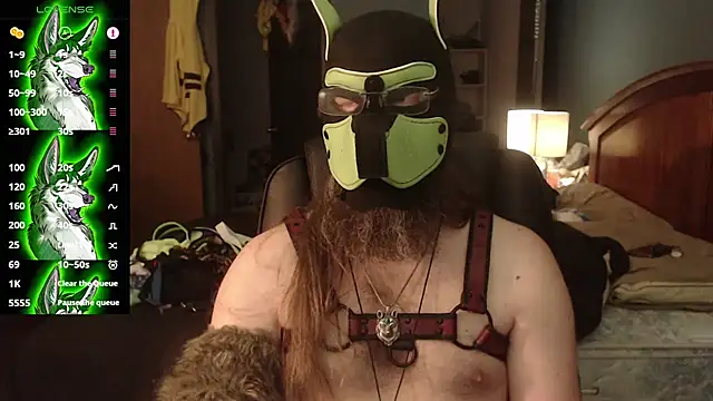 kinkywolf429 – Kamerová šou