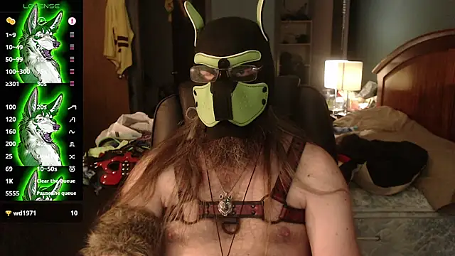 kinkywolf429 – webcam-show
