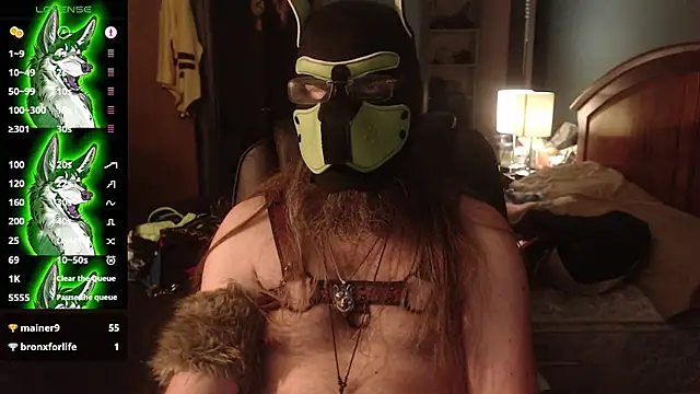 kinkywolf429n Webbikameraesitys