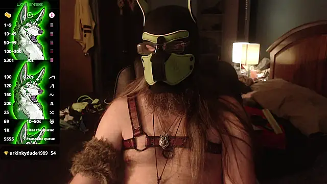 kinkywolf429's Webcam Show