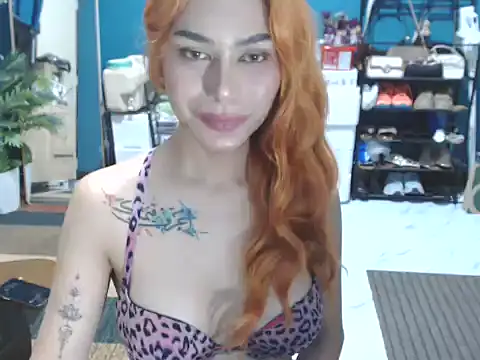 BonaBarramedan Webbikameraesitys