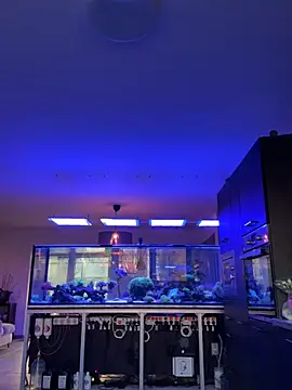 Pokazy przed kamerką – newMichelle