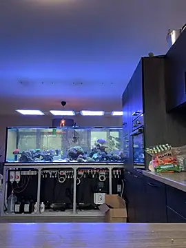 newMichelle's Webcam Show