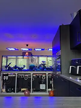 Show Webcam de newMichelle