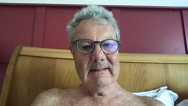 Oldpistolpeten Webbikameraesitys