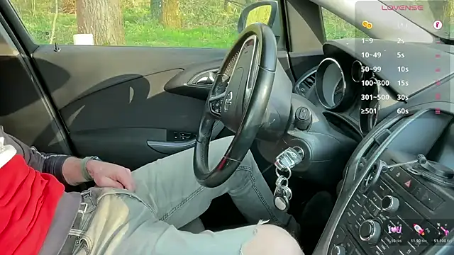 breizh22BBのウェブカメラショー