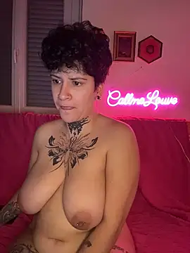 Show webcam de callmelouve