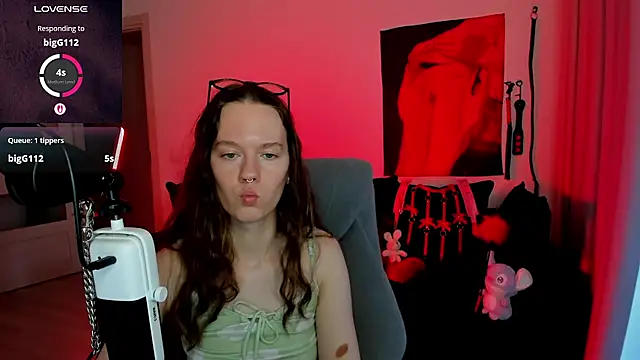 Webkamerová show Vulgar_Tamer