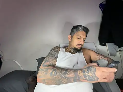 Show webcam de Vision1285