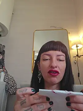 Show modela U_prolazu na web-kameri