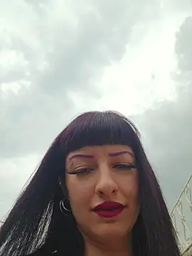 Show modela U_prolazu na web-kameri