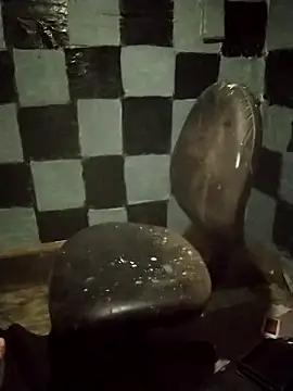 Wero4200's Webcam Show
