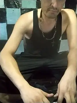 Wero4200 网络视讯表演