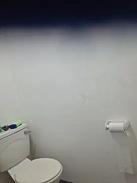 Show webcam de dickruss