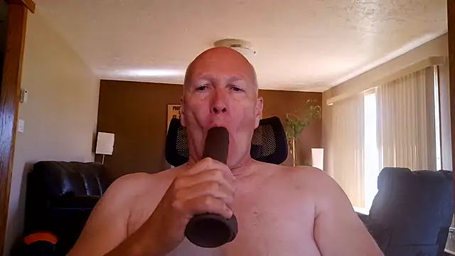عرض كام BasicAnt