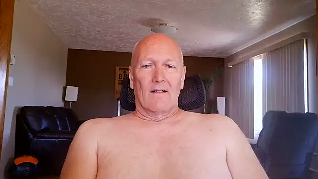 BasicAnt Pertunjukan Webcam