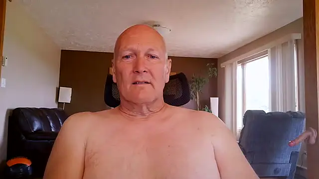 عرض كام BasicAnt