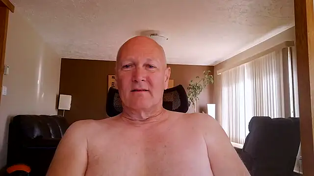 BasicAnt Pertunjukan Webcam