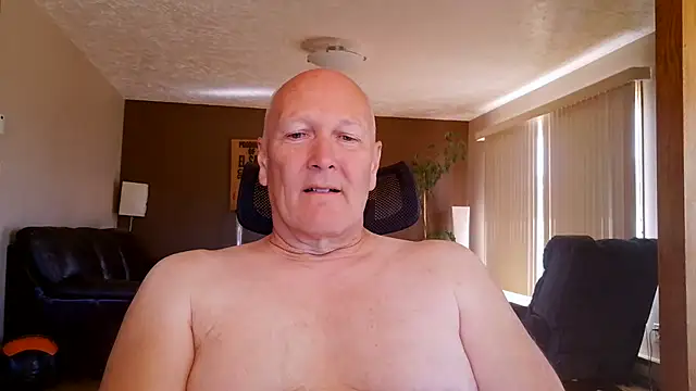 BasicAnt Show in webcam